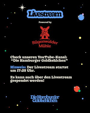 Hinweise zum Livestream der Hamburger Goldkehlchen auf YouTube